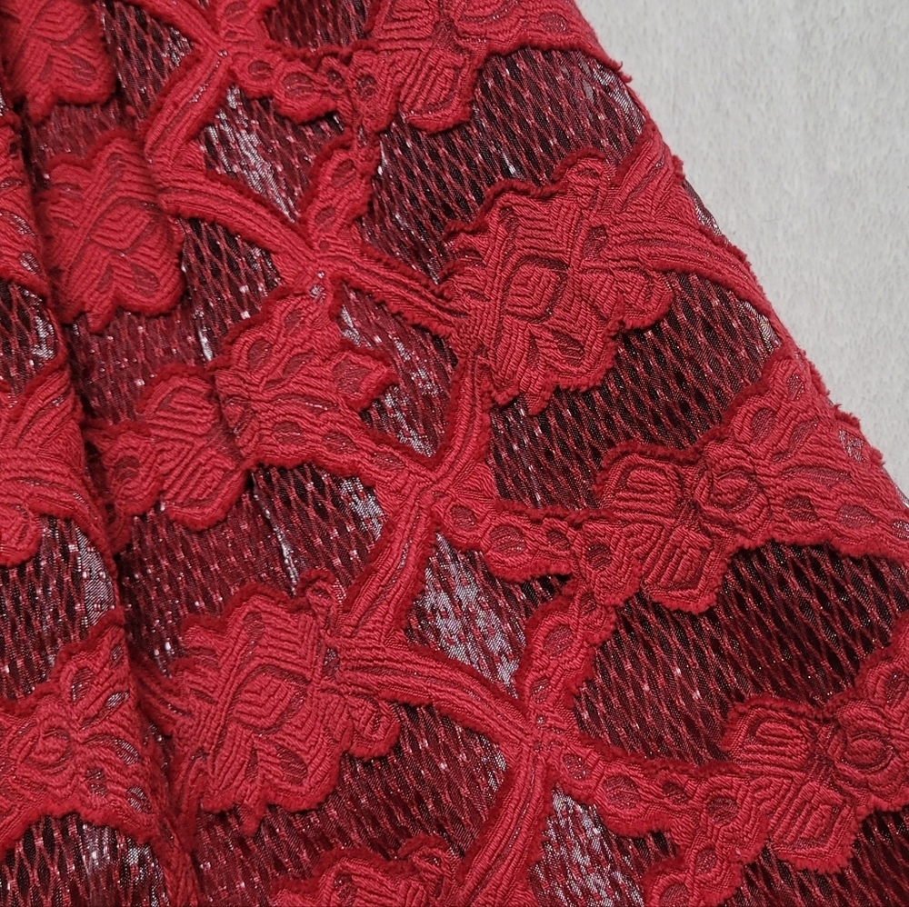 Anthropologie Moulinette Soeurs Rubied Lace Dress Fit & Flare Pleated Mini Dress - Picture 6 of 13